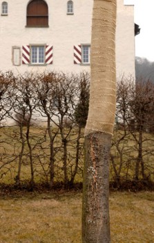 Bendern-Kichhuegel